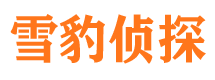 大化市侦探公司